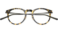 Orrison OV5544 1778 Tokyo Tortoise