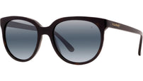 Legend 02 Valley Sunglasses
