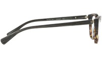 3067 002 tortoise