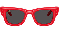 Wayfarer Puffer RB4940 683187