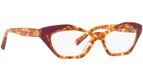 Monette 3094 003 tortoise