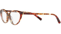 3081 004 tortoise