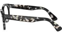 RB2199V Optics 8117