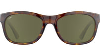 Chandler SS557 001 Tortoise