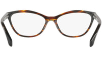 3067 002 tortoise