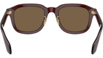 AR 8206 606273 Brown
