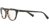 3067 002 tortoise