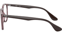 Erika Optics RB7046 8139