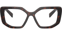 PR A04V 16N1O1 Tortoise