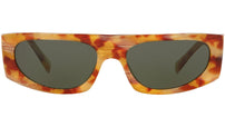 N°863 5050 003/71 tortoise