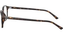 Leonard Optics RB5393 2012