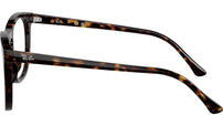 RB2210V Optics 2012