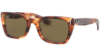 Caribbean RB2248 striped havana polar