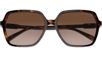 Jasper MK2196U 300613 Dark Tortoise