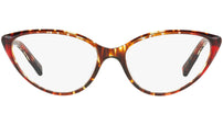 3081 004 tortoise