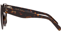 CELINE 3 Dots Dark Havana Butterfly Sunglasses