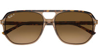 Bill One RB2205 1292M2 Havana Brown