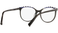 3069 011 tortoise