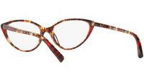 3081 004 tortoise