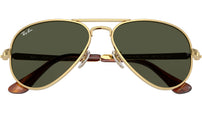 Aviator Max RB3925 001/31