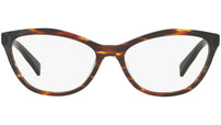 3067 002 tortoise
