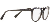 3069 011 tortoise