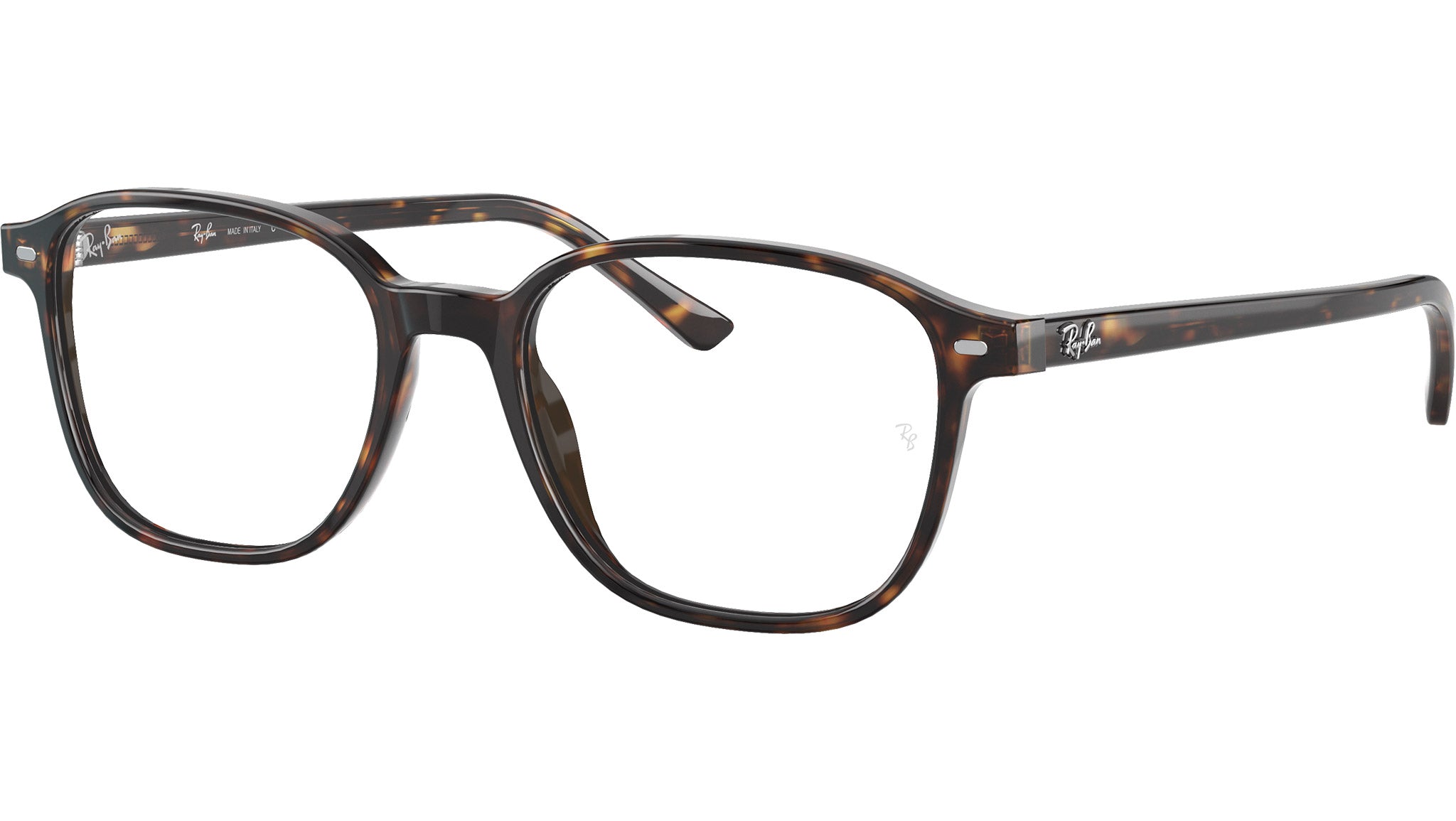 Leonard Optics RB5393 2012