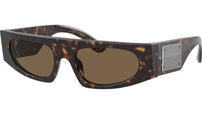 DG 4411 502/73 Tortoise Brown