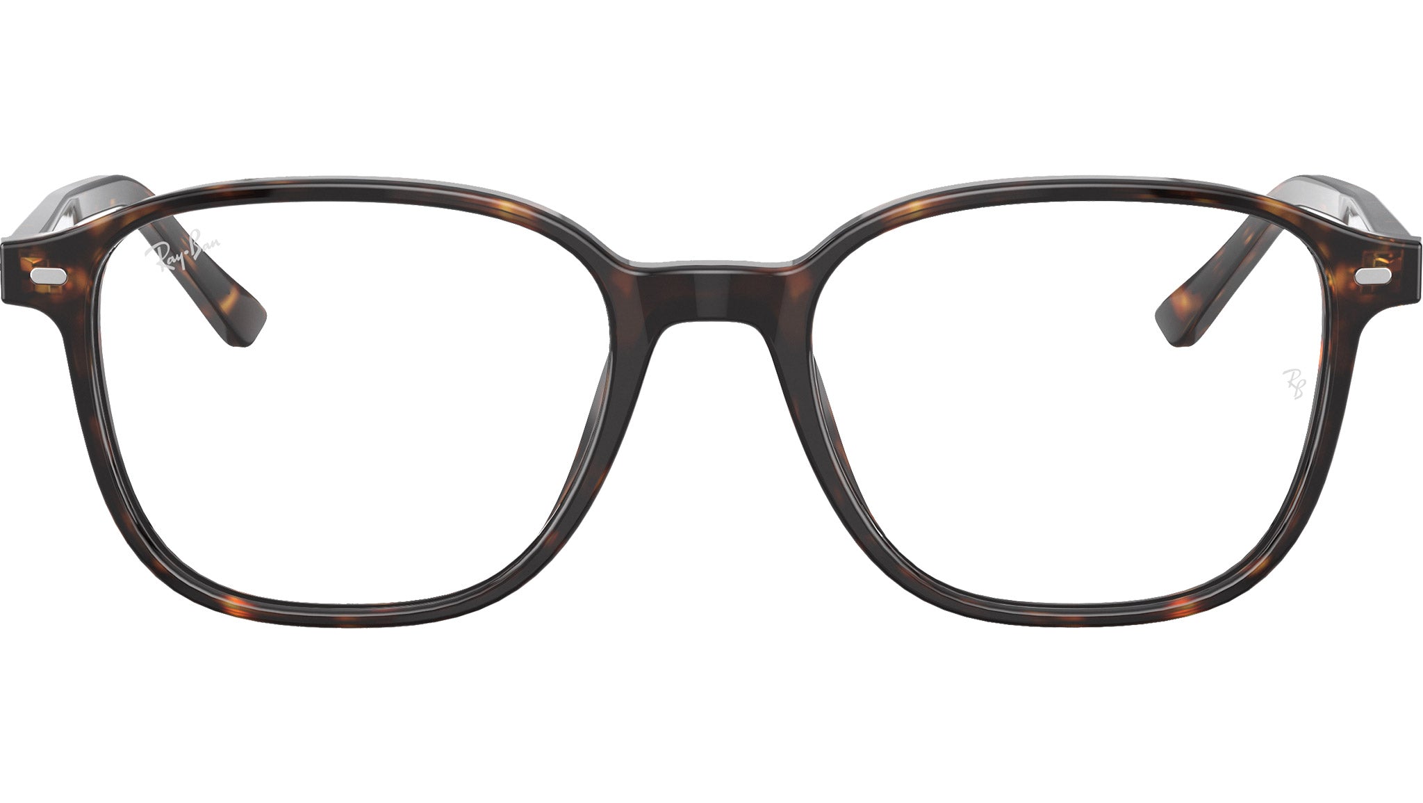 Leonard Optics RB5393 2012