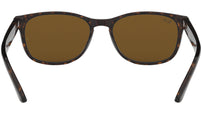 RB2184 tortoise