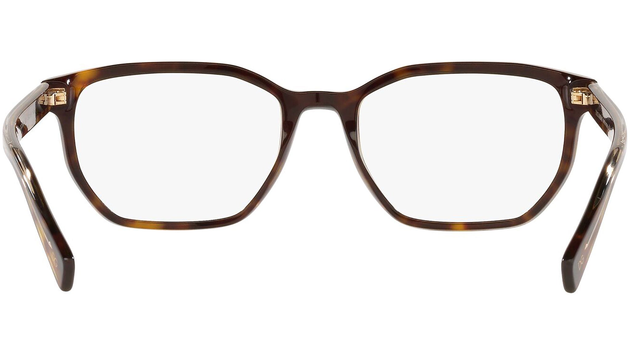 DG 3338 502 tortoise