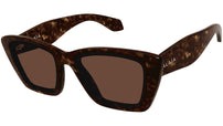 AA0070S 002 Tortoise Brown