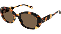 CH0197S 003 Tortoise Brown