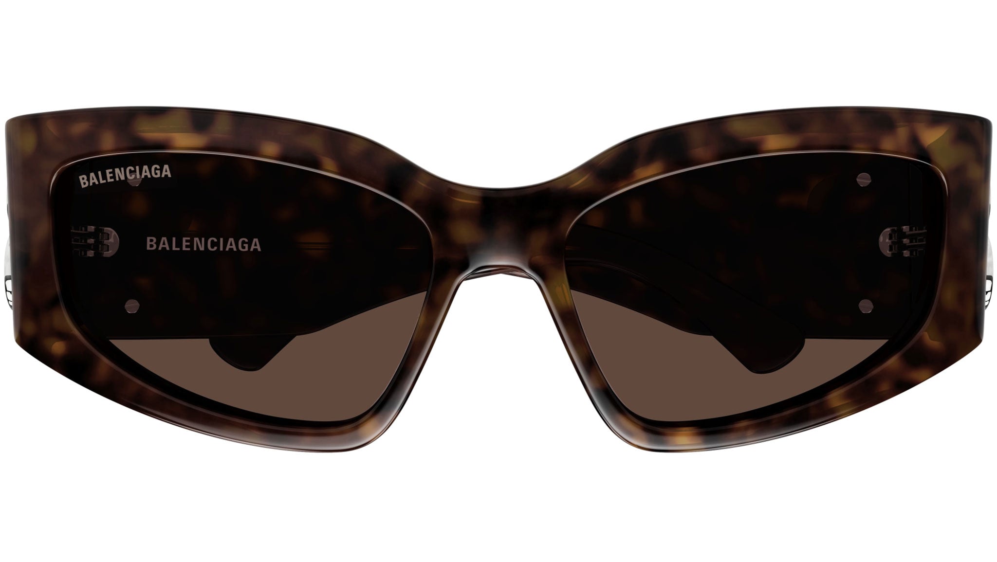 BB0321S 008 Dark Havana Brown