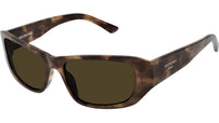 BB0365S 002 Brown Havana Brown