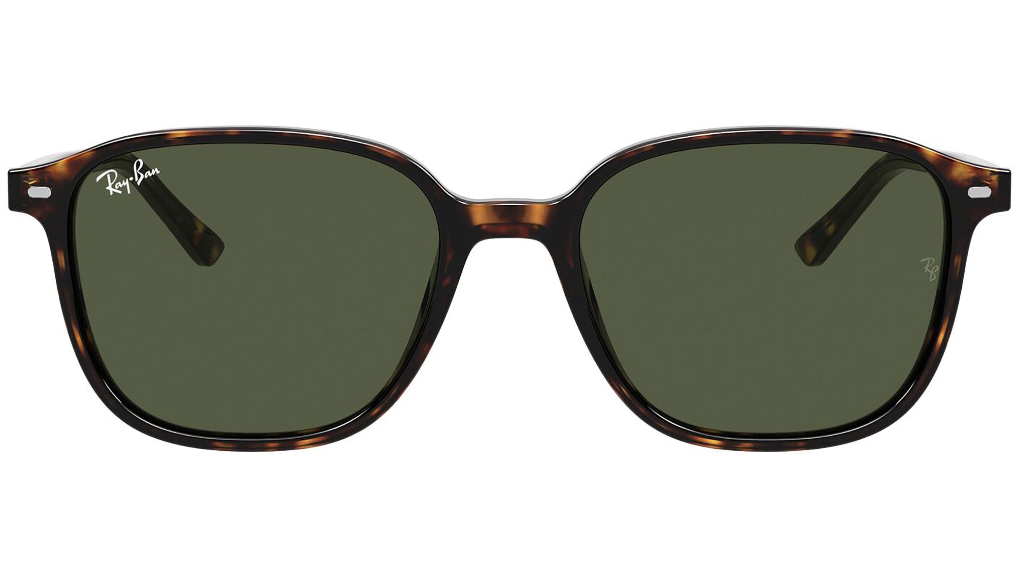 Leonard RB2193 tortoise