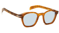 DB 7046/S Brown Havana Azure Photocromatic