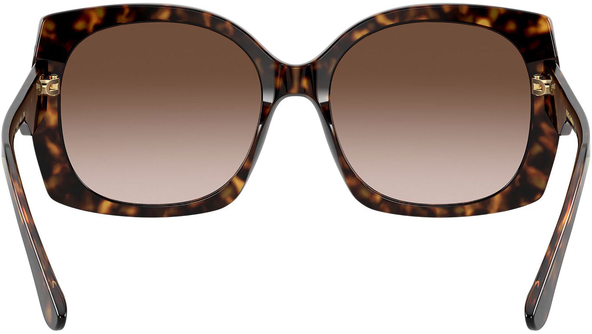 DG 4385 502/13 tortoise