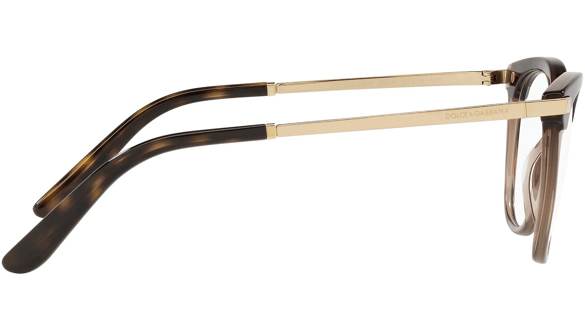 DG 3346 3256 tortoise