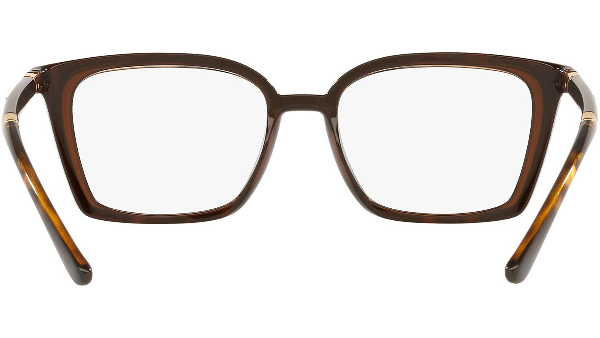 DG 5081 3185 tortoise