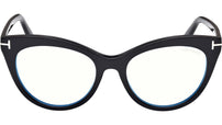 FT6091-B 001