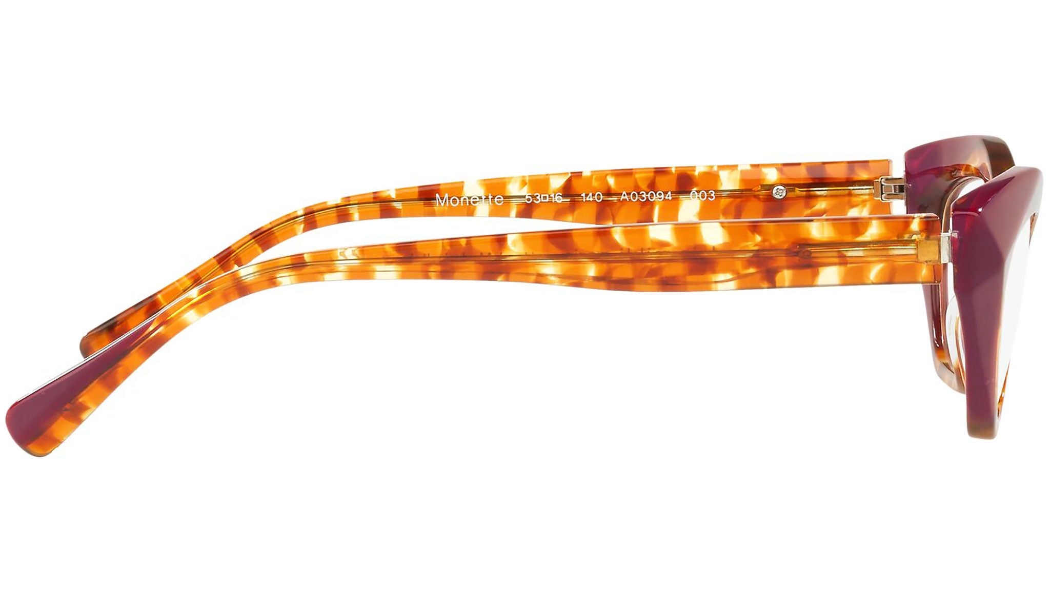 Monette 3094 003 tortoise