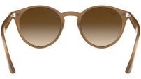RB2180 turtledove