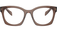 PR A05V 17O1O1 Brown