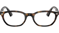 RY1599 3685 Tortoise