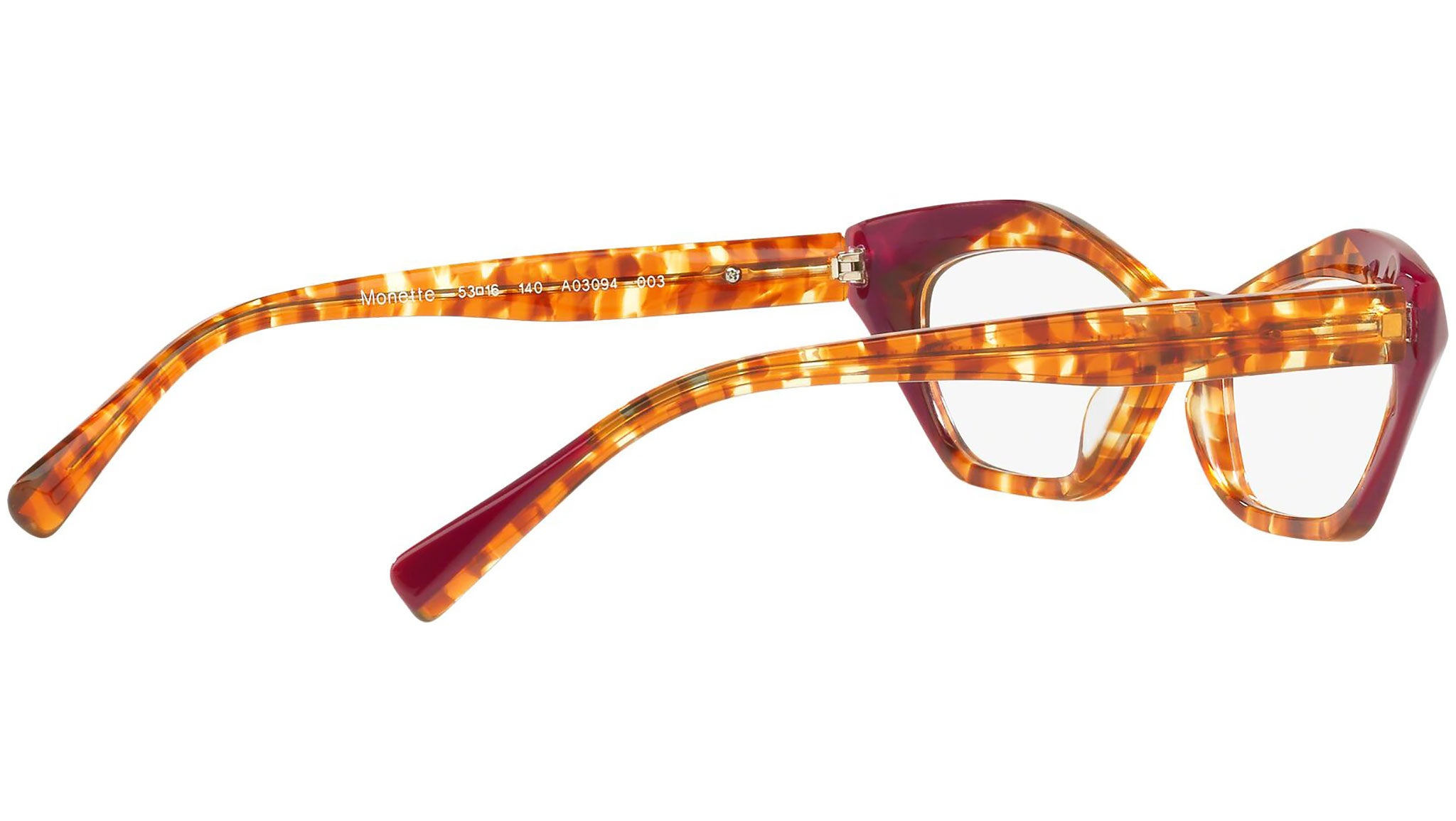 Monette 3094 003 tortoise