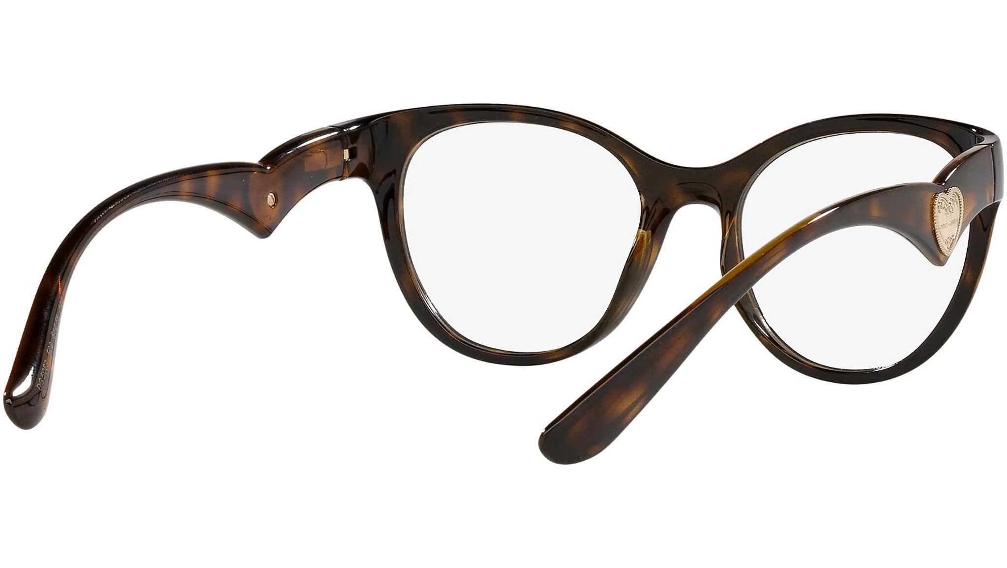 DG 5069 502 tortoise