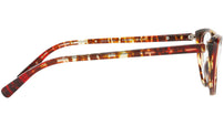 3081 004 tortoise