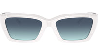 TF4213 83929S Bright White