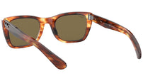 Caribbean RB2248 striped havana polar
